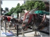 sol-mijas-osly-L1.jpg